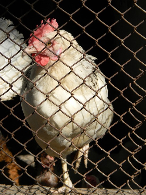 开云体育五大联赛18888元大放送